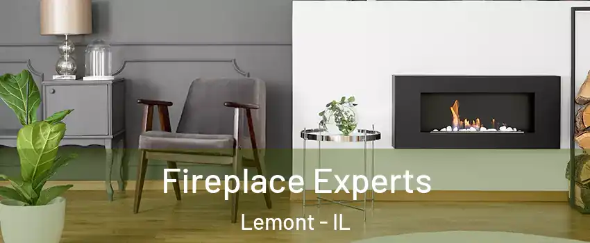  Fireplace Experts Lemont - IL