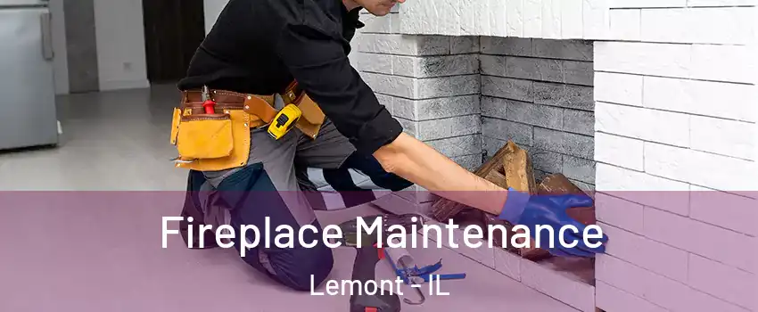  Fireplace Maintenance Lemont - IL