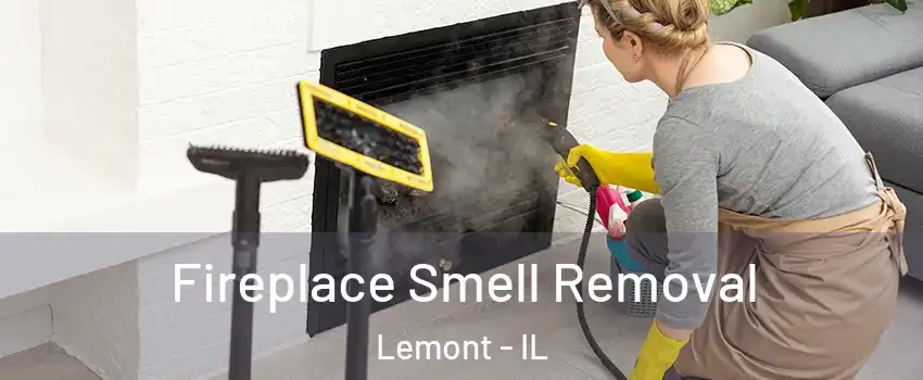  Fireplace Smell Removal Lemont - IL