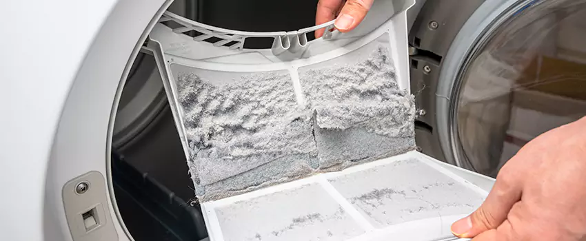 Best Dryer Lint Removal Company in Lemont, Illinois